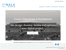 Tablet Screenshot of nalumedia.com